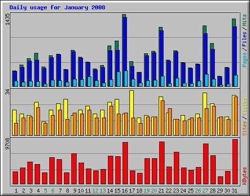 Daily usage for January 2008