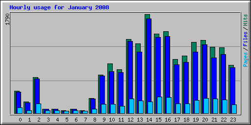 Hourly usage for January 2008